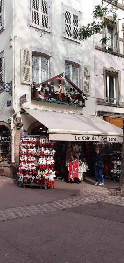 Le Blue St Leon : 2 Pieces Cozy Lit King Size Wifi Apartment Colmar Exterior photo