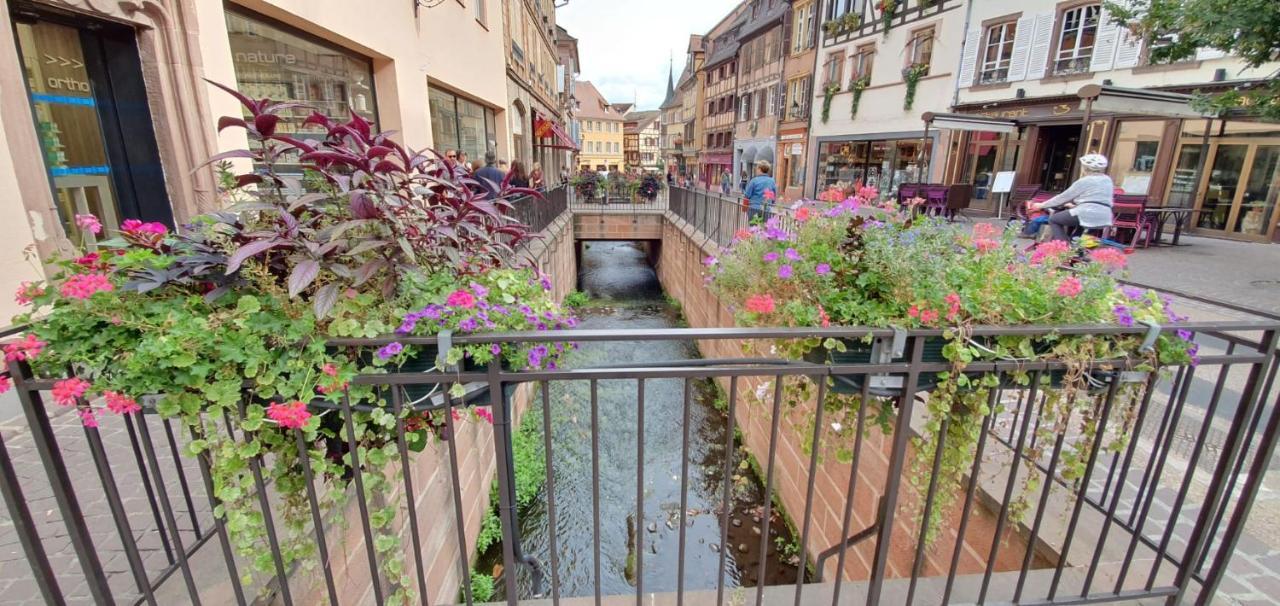 Le Blue St Leon : 2 Pieces Cozy Lit King Size Wifi Apartment Colmar Exterior photo